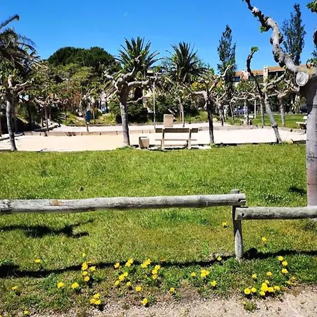 Apartamento For 4 People Le Barcarès